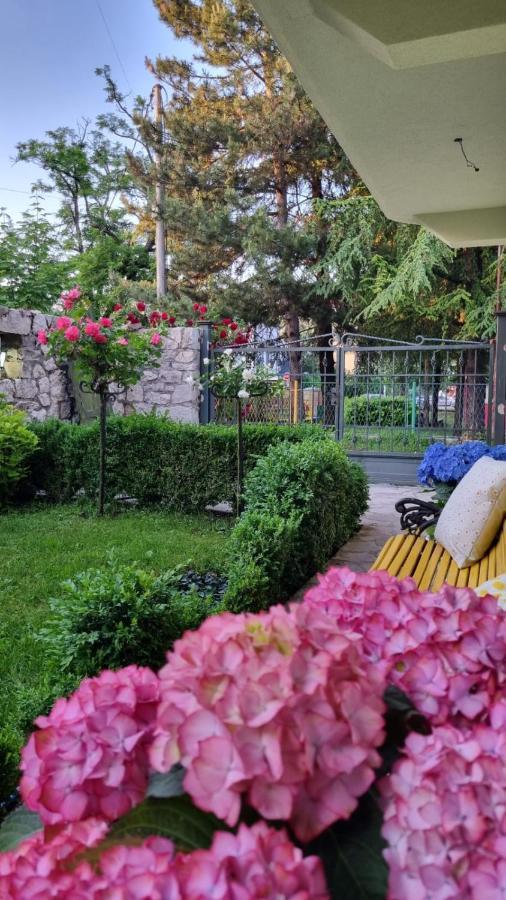 Apartman L&M Cetinje Exterior photo