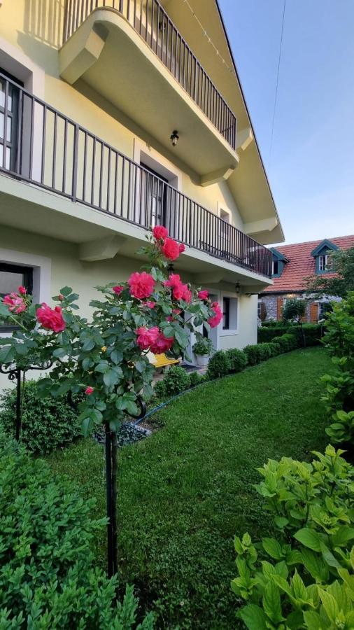 Apartman L&M Cetinje Exterior photo