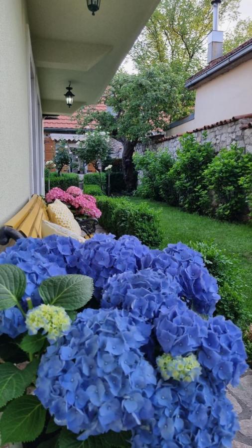 Apartman L&M Cetinje Exterior photo